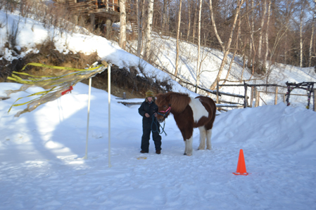 Alys and Hrimmi ready to do agility